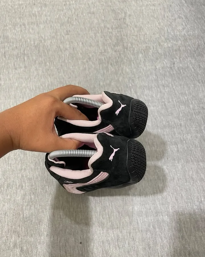 Puma spedcat